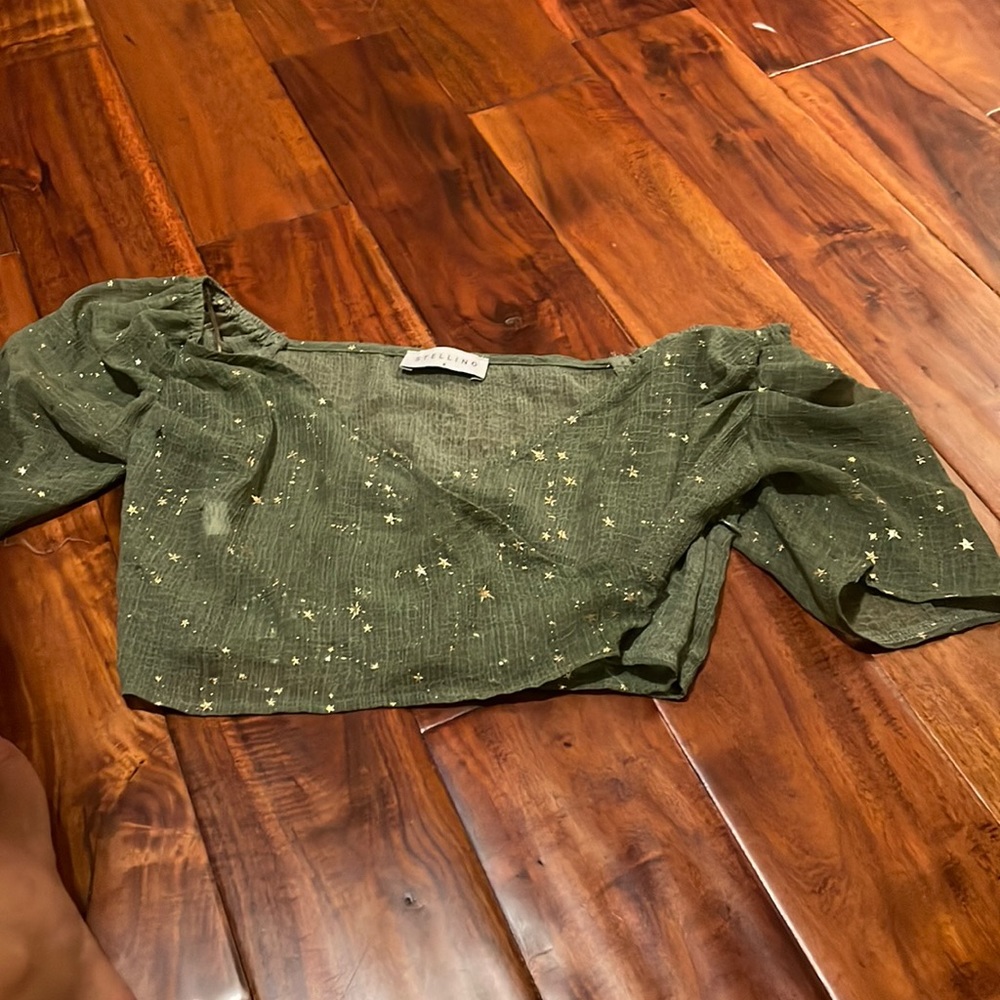 Mesh cropped blouse